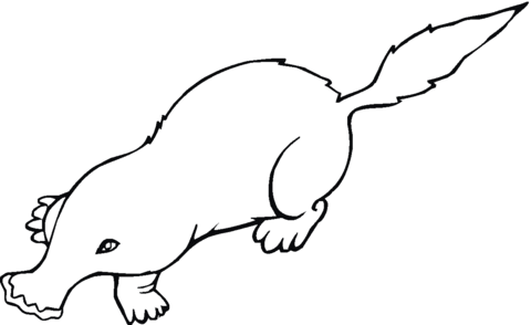 Mole 16 Coloring Page